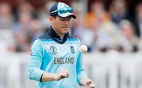 Image result for Morgan Cricketer