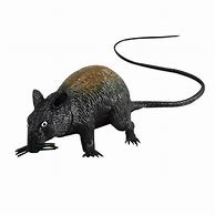 Image result for Large Rubber Rat Prop