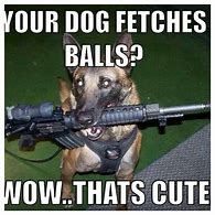 Image result for Dog with Gun Meme