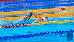 Image result for Maxwell Swimming Club