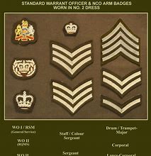 Image result for Army Insignia Badge