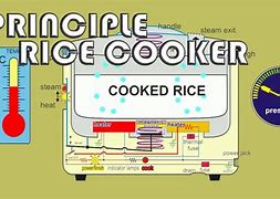 Image result for How a Rice Cooker Works