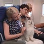 Image result for Scooby Doo First Movie Cat