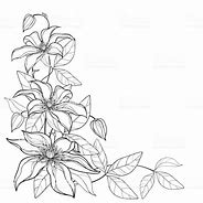 Image result for Bush Clematis New Love