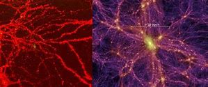 Image result for Universe Is a Brain