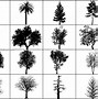 Image result for Photoshop TreePlan Brushes
