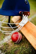 Image result for Cricket Bat Ball