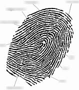 Image result for Bifurcation Fingerprint Diagram