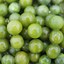 Image result for Greenberry with Two Seeds Grape-Like