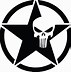 Image result for Dallas Cowboys Punisher Skull