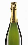 Image result for Delamotte Champagne Blanc Blancs Millesime