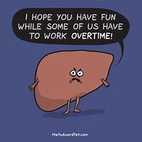 Image result for Awkward Yeti Liver