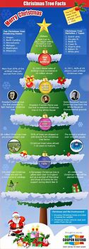 Image result for Christmas Tree Facts for Kids