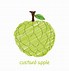 Image result for Custard Apple Clip Art