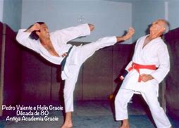 Image result for Jiu Jitsu Striking