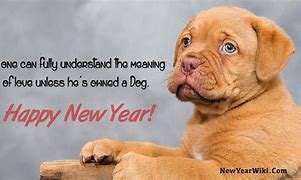 Image result for Animated Happy New Year Dog