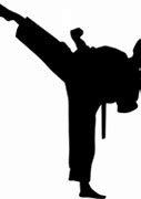 Image result for Female Martial Artists Art
