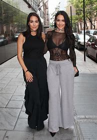 Image result for Brie and Nikki Bella New York