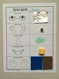 Image result for 5 Senses Project for Kids