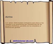 Image result for durina