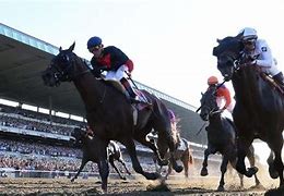 Image result for Belmont Stakes Day