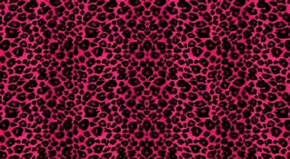 Image result for Pink Cheetah Print Background Hot Pink