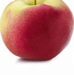 Image result for Macintosh Apple Fruit