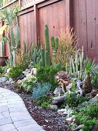 Image result for Cactus Garden Decorations