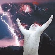 Image result for Cat Meme Storm