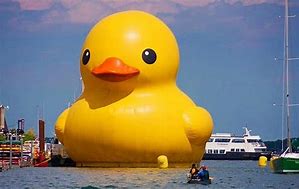 Image result for Bigest Duck in the World Picture