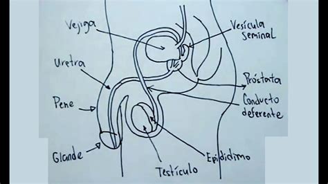 Image result for Example of Bellman-Ford Algorithm