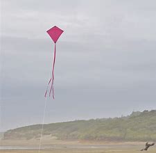 Image result for Pink Kite