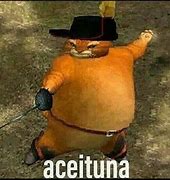 Image result for aceiruna