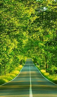 Image result for iPhone 14 Pro Max Road Wallpaper