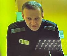 Image result for Free Navalny