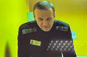 Image result for Navalny Art