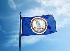 Image result for Original Virginia State Flag