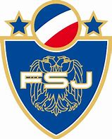 Image result for Serbia FA Badge