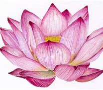 Image result for Purple Lotus Flower Drawing