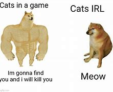 Image result for Pro Cat Meme