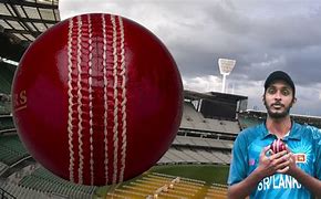 Image result for swingball cricket techniques