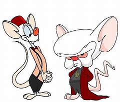 Image result for Pinky and the Brain Merch