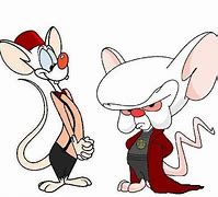 Image result for Pinky and the Brain Funny Memes