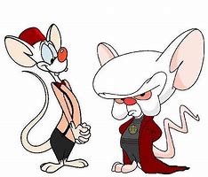 Image result for Pinky and the Brain Genius Meme