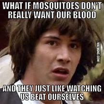 Image result for Mosquito Rage Comic