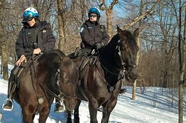 Image result for Montreal Mounted Police