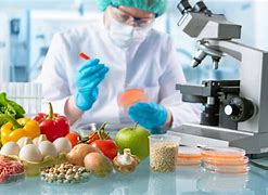 Image result for What Is Food Technologist