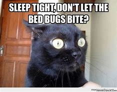 Image result for Bed Bug Meme