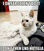 Image result for Swearing Cat Memes