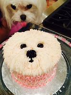Image result for Dog Face Birthday Cake